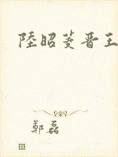 陆昭菱晋王小说