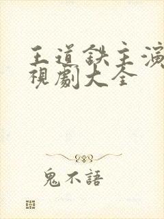 王道铁主演的电视剧大全