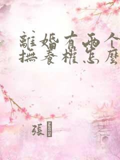 离婚有两个小孩抚养权怎么判定的