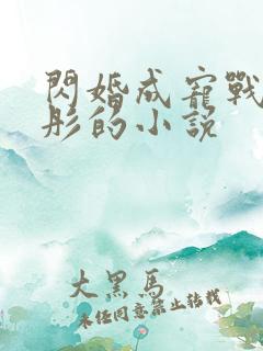 闪婚成宠战胤海彤的小说