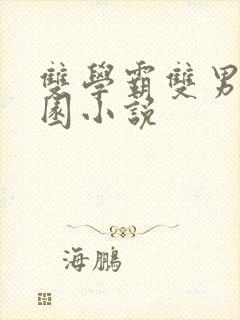 双学霸双男主校园小说