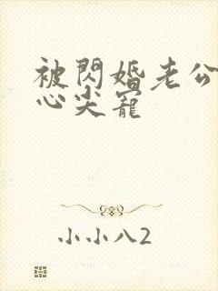 被闪婚老公捧在心尖宠