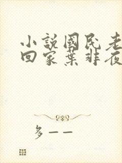 小说国民老公带回家叶非夜