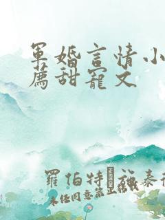 军婚言情小说推荐甜宠文