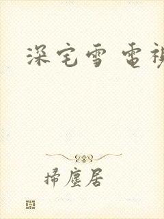 深宅雪 电视剧