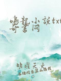 鸣龙小说txt奇书网