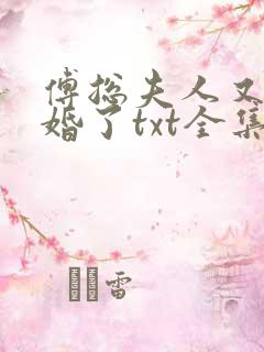 傅总夫人又闹离婚了txt全集