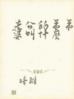 老公的弟弟的老婆叫什么