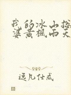 我的冰山总裁老婆黄枫雨天