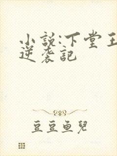 小说:下堂王妃逆袭记