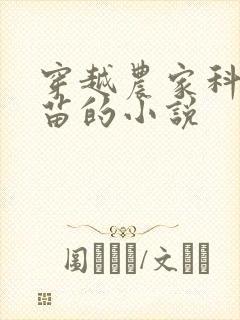 穿越农家科举独苗的小说