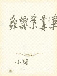 盛婚蜜爱:霸宠鲜甜小妻子