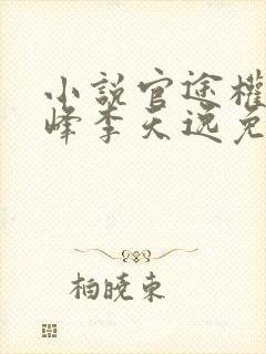 小说官途权力巅峰李天逸免费阅读