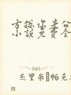 方总你老公没了小说免费全文阅读