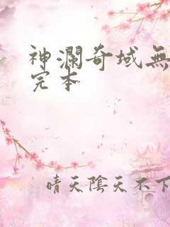 神澜奇域无双珠完本