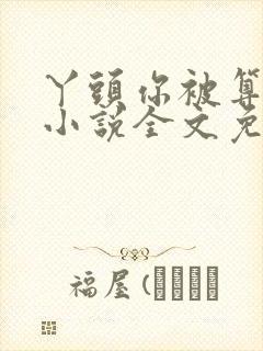 丫头你被算计了小说全文免费阅读