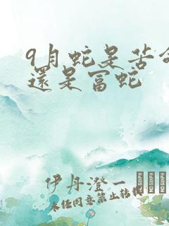 9月蛇是苦命蛇还是富蛇
