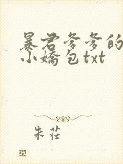 暴君爹爹的团宠小娇包txt