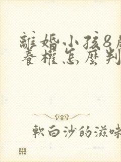 离婚小孩8岁抚养权怎么判定