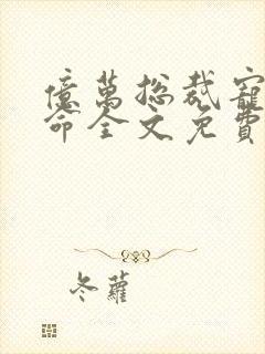 亿万总裁宠妻如命全文免费阅读