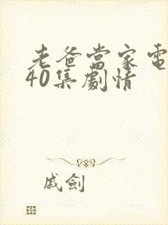 老爸当家电视剧40集剧情