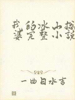 我的冰山总裁老婆完整小说