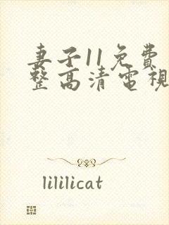 妻子11免费完整高清电视剧在线看