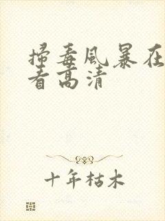 扫毒风暴在线观看高清