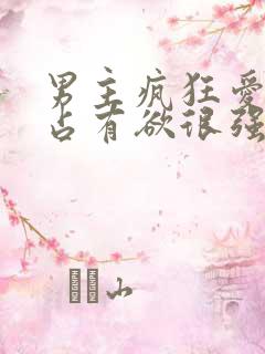 男主疯狂爱女主占有欲很强的小说