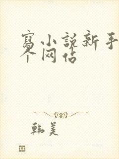 写小说新手去哪个网站