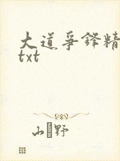 大道争锋精校版txt
