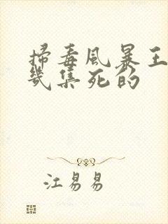 扫毒风暴王奇第几集死的