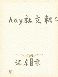 hay社交软件
