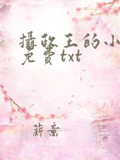 摄政王的小闲妻免费txt