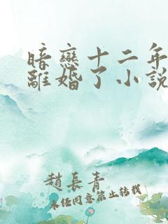 暗恋十二年的他离婚了小说免费阅读