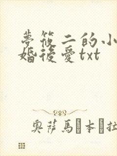 梦筱二的小说先婚后爱txt