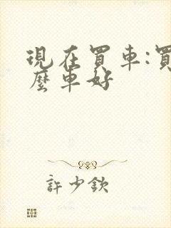 现在买车:买什么车好