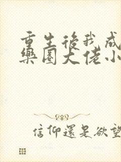 重生后我成了娱乐圈大佬小说