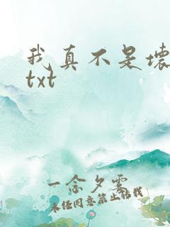 我真不是坏男人txt