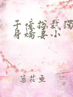 千亿总裁独宠替身娇妻小