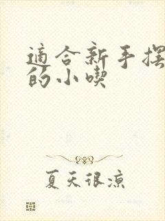 适合新手摆摊卖的小吃