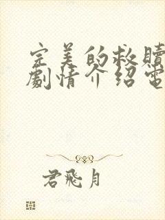 完美的救赎分集剧情介绍电视猫