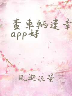 查车辆违章哪个app好