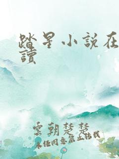 踏星小说在线阅读