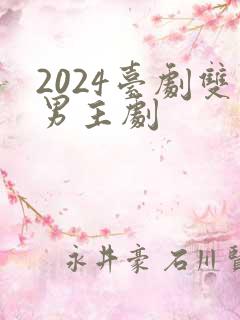 2024台剧双男主剧