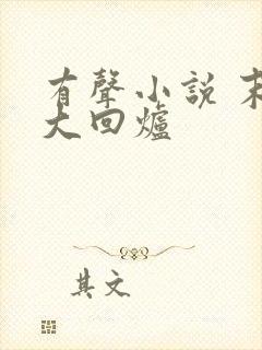 有声小说 末世大回炉