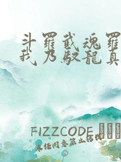 斗罗武魂罗三炮我乃驭龙真君