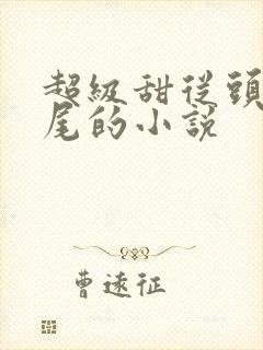 超级甜从头甜到尾的小说