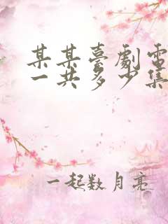 某某台剧电视剧一共多少集