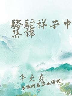 骆驼祥子中考题集锦